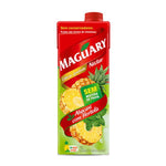 Suco de Abacaxi Com Hortelã RTD Maguary 1L